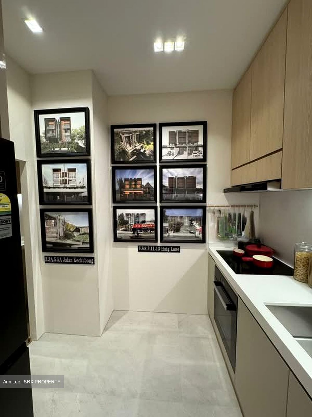Joo Chiat Terrace (D15), Apartment #551847501